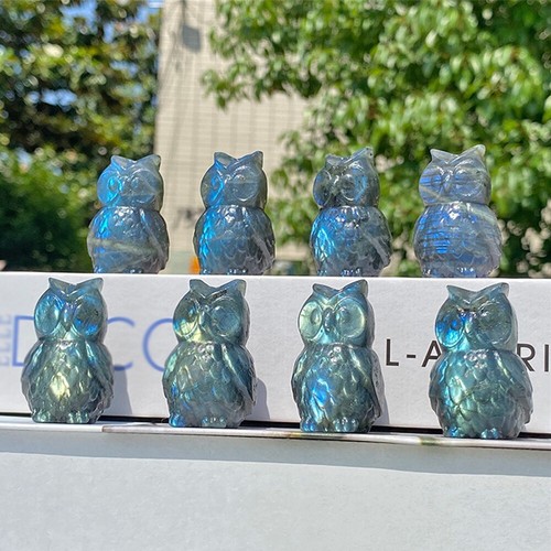 25Kinds Natural Labradorite Quartz Crystal Carved Skull Reiki Healing Decor - Picture 114 of 135