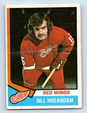 1974-75 O-Pee-Chee *C* Bill Hogaboam Rookie Detroit Red Wings #116