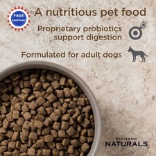 natural balance dog food ingredients Natural Balance Limited Ingredient Dry Dog Food, Salmon & Brown Rice Recipe 12-lb