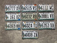 Bulk Lot of 10 Maine License Plate Plates Chickade Bird ME Wildlife - Lot 5353XA