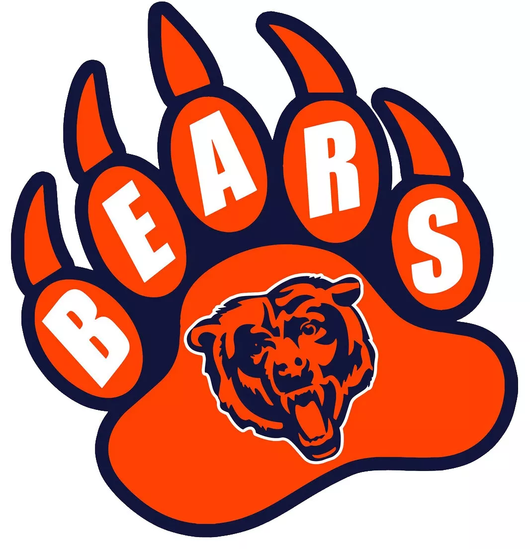 Chicago Bears NFL Weather Resistant Vinyl Die-Cut Sticker Decal 09
