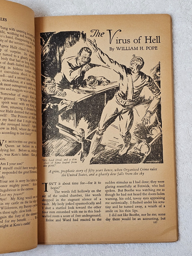 Weird Tales Pulp Magazine Feb 1934 VG Brundage Sapphire Goddess Robert E. Howard - Picture 17 of 24