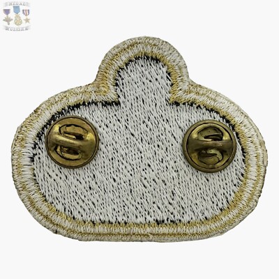 VIETNAM WAR ARMY JUMP WINGS MASTER PARACHUTIST BADGE INSIGNIA