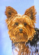 "Yorkshire Terrier" Printed Needlepoint Tapestry  Canvas Collection D'art 10399