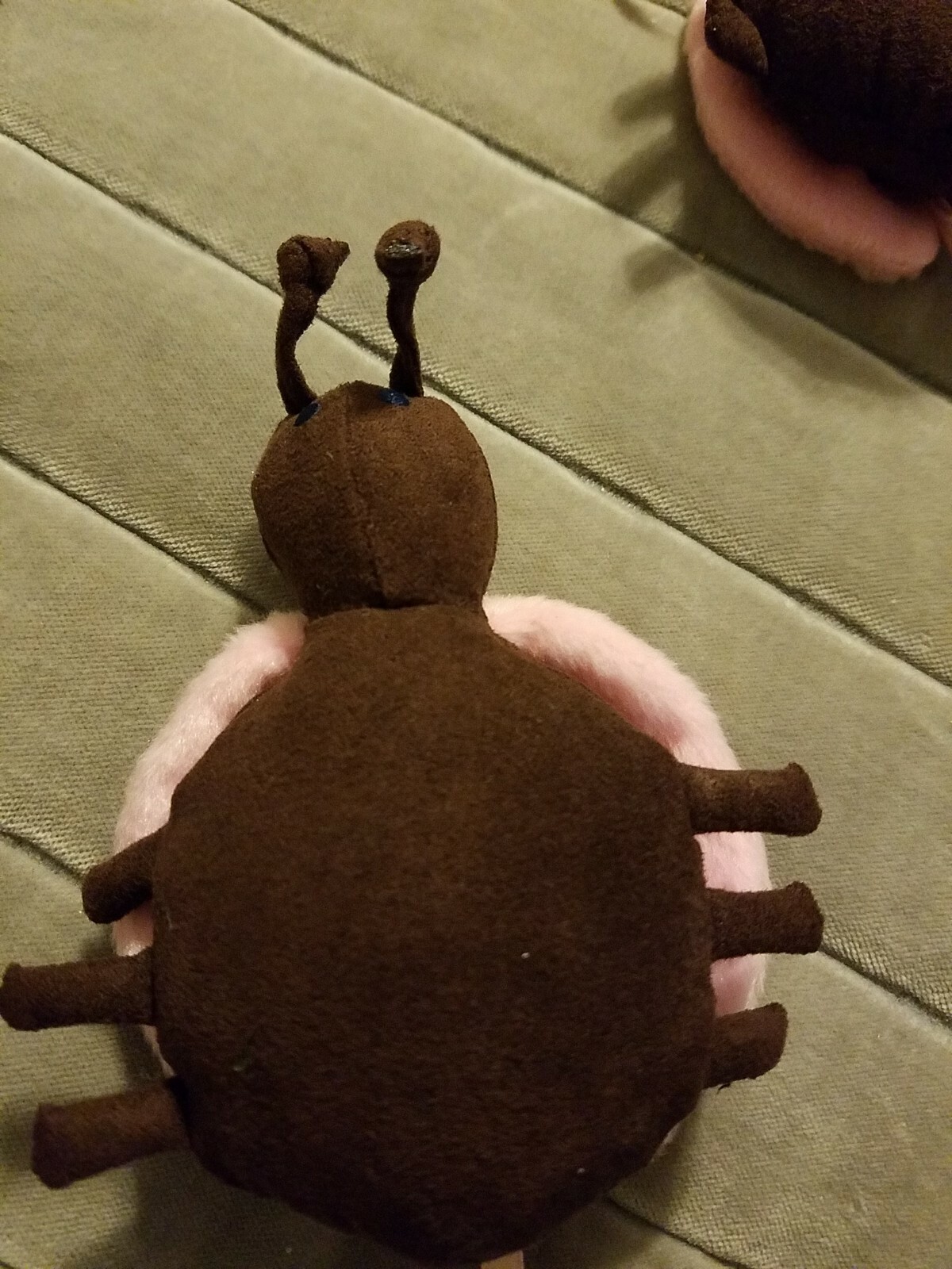 Picture 5 of 5