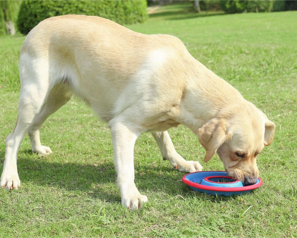 Dog Flying Disc Floating Frisbee Dog Toy , 23cm/9in diameter, 1pc - Image 3 of 4