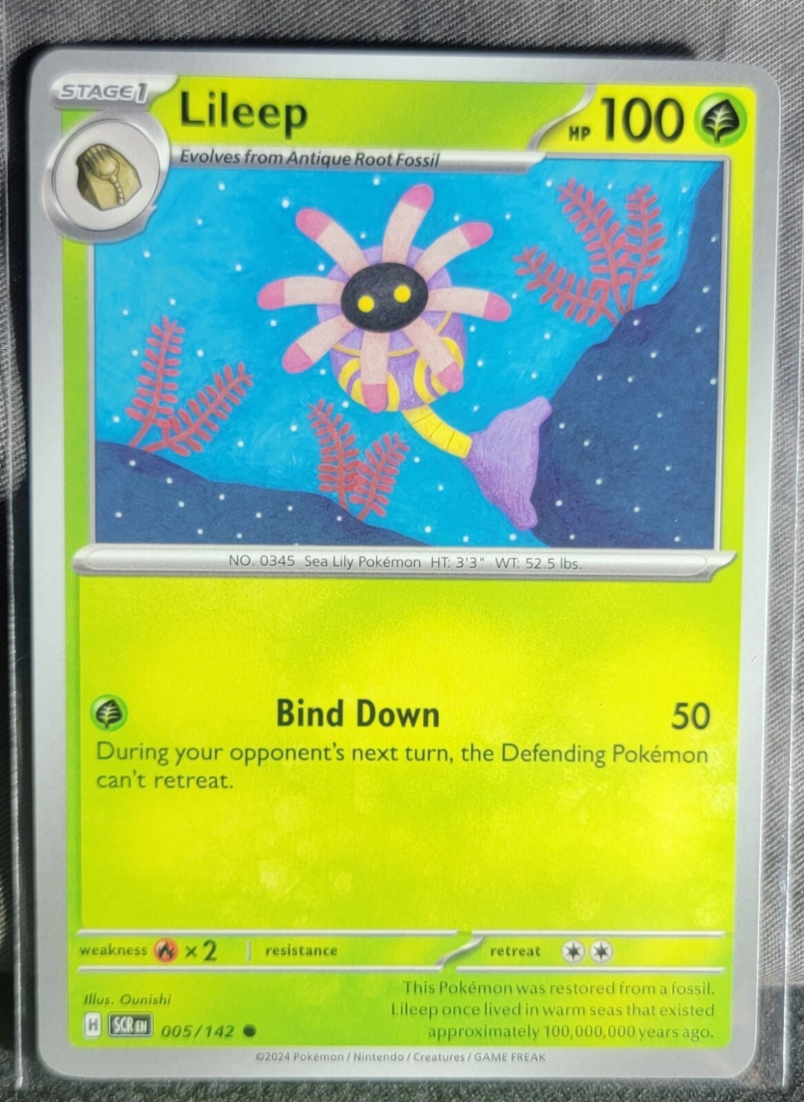 Pokemon TCG Card Lileep 005/142 S&V Stellar Crown Common NM