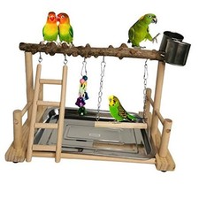 Parrot Playground Bird Playstand Wood Exercise Play Perch Exercise Gym with