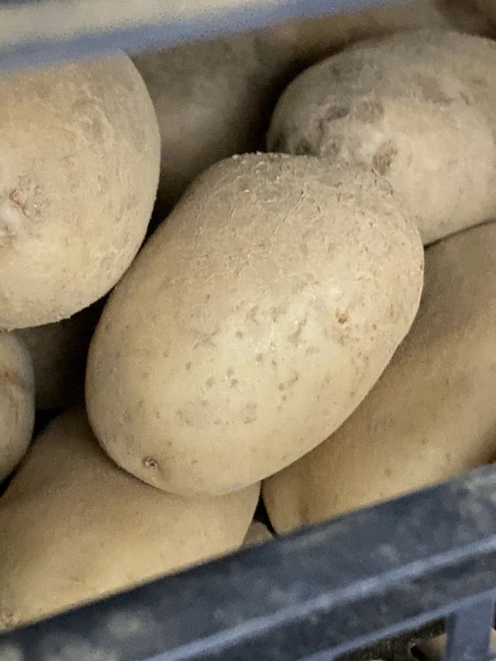 PATATE NOSTRANE PATATA BIOLOGICA ORTO BIO 5 KG PRODUZIONE PROPRIA REVENTINO KG 5 - Immagine 3 di 4