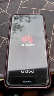 Huawei P10 Lite Dual Sim mit Zubehörpaket Hülle u. Schutzglas Top Zustand