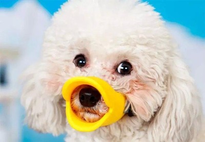 duckbill dog muzzle