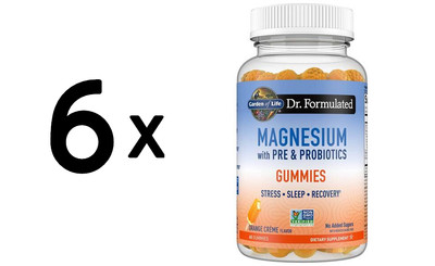 6 x Garden of Life Dr. Formulated Magnesium with Pre & (327,78 EUR/kg)