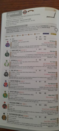 NEWMARKET RACE CARDS OCTOBER 31ST & NOV 1ST 2014 - BIG HALLOWEEN BASH BOTH DAYS - Picture 9 of 23