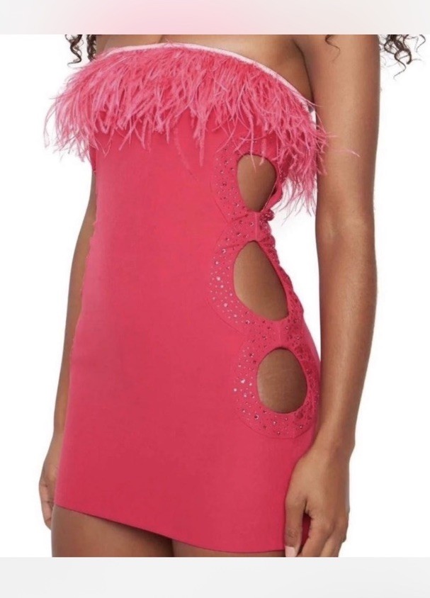Danielle Guizio Pink Feather Trim Embellished Cutout Dress Small | eBay