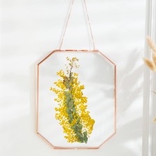 Wall Hanging Frame, Rose Gold 7.8 x10 inches Long Octagon Herbarium Brass Gla...