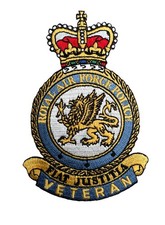 Royal Air Force Police Veteran, RAF Police (RAFP)  Veteran  Iron or sew on patch