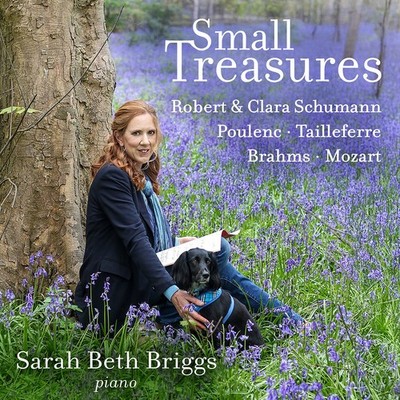 Sarah Beth Briggs - Small Treasures [Used Very Good CD]