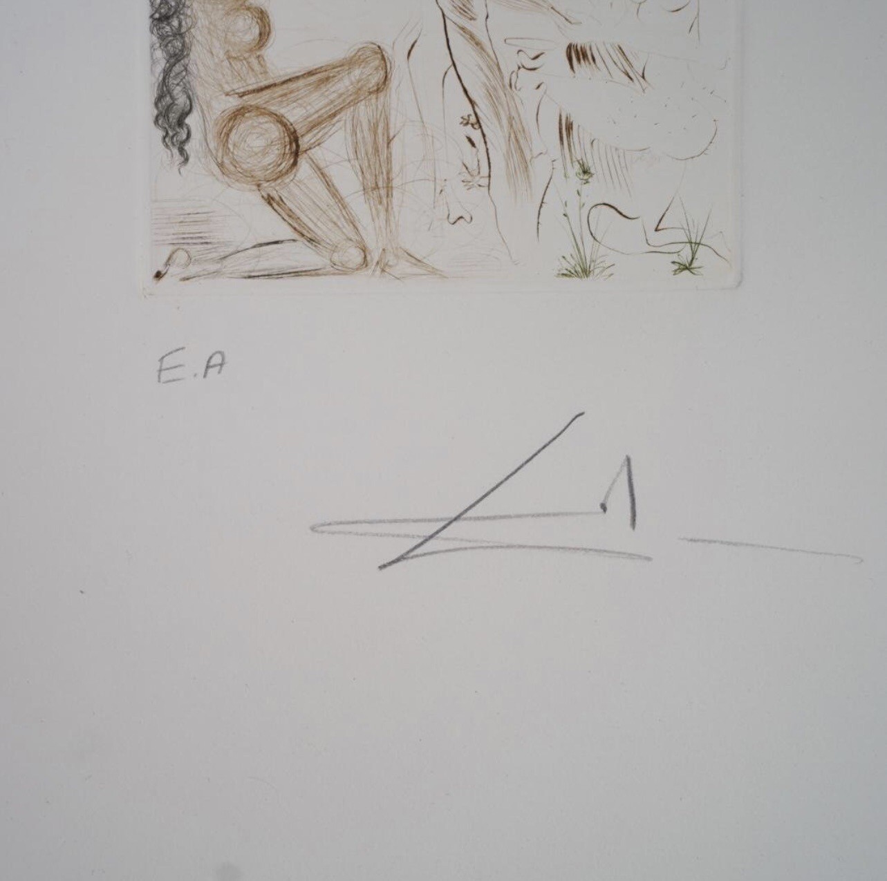 Picture 4 of 4