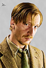 Stampa Pop Art Originale Remus Lupin "Harry Potter" - Poster 13 x 19