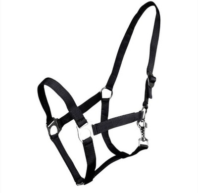 QHP Horse Halter Sliding Headpiece Heavy-Duty Polypropylene Swivel Snap Full