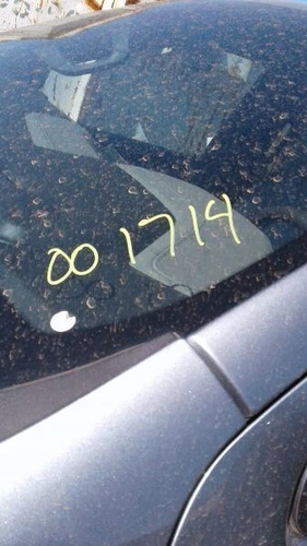 SIERRA150 2023 Side View Mirror 416365