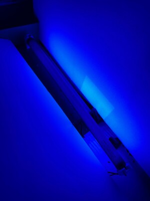 F15T8/BLB Light Bulb TUBE 18'' BLACKLIGHT BLUE 15W FLUORESCENT Norelco 09517