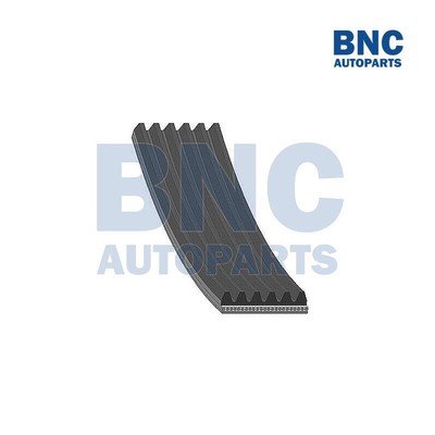 V-Ribbed Drive Belt for RENAULT LAGUNA from 2007 to 2015 - MQ (2)