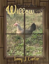 Where did Willow Go by Wanda