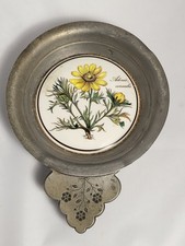 Zp-Plat Étain Ancien Faïence Botanique Adonis Vernalis Vintage Déco