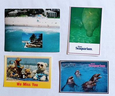 4 Postkarten Ansichtskarten Florida Miami Everglades USA Ansichtskarte