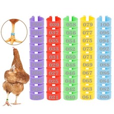 Chicken Leg BandsAssortedfor Chicks Turkeys Ducks Geese Birds Poultry Management