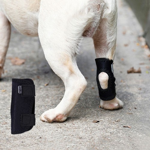 2pcs Adjustable Pet Joint Recovery Pad Breathable Dog Leg Brace Wound