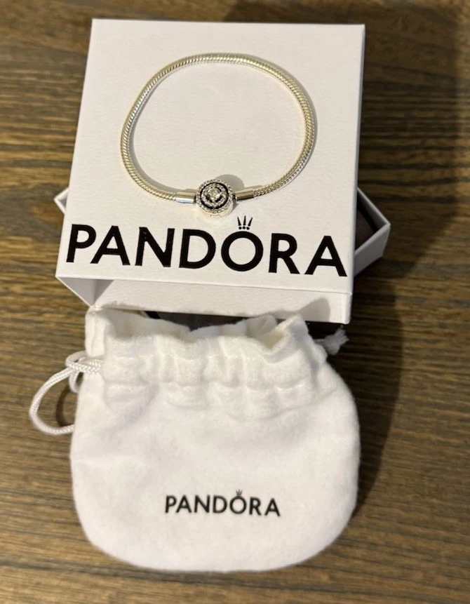 Pulsera Pandora Momentos Halo Serpiente Cadena Plata de Ley 6.3 Pulgadas Foto 3 de 4