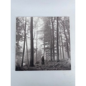 Taylor Swift Folklore | eBay