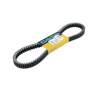 Dayco Keilriemen Antriebsriemen 8228K VerstäRkt (FüR: Honda Sh 300I NF02 07-15 )