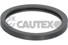 Thermostat Peugeot 106