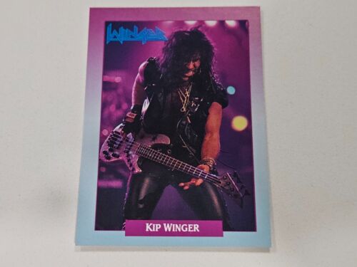 Band metal 1991 Rock Cards Brockum anni 90 *SCEGLI DALL'ELENCO - VEDI FOTO* #1-150 - Foto 3 di 151