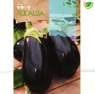 ROCALBA Berenjena Negra belleza - Black Beauty ( 3 gr / 600 semillas aprox ) seeds