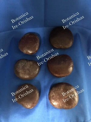 Semilla AGBA GUACALOTE (6) Corazón de SHANGO CHANGO religion yoruba ifa orula