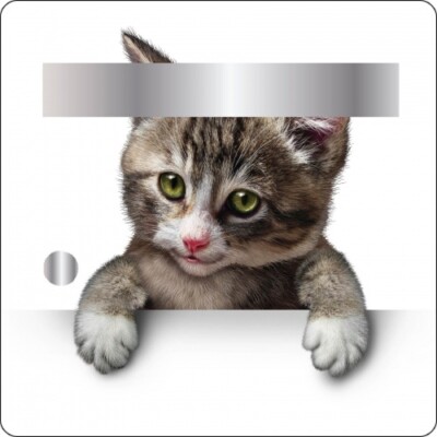 3 Stickers Pour Boîte Aux Lettres – Motif Chat – 30x30cm – ADS