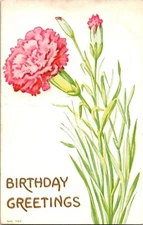 Vintage F.A. Owen Embossed Postcard Birthday Greetings Carnation Flowers 1913
