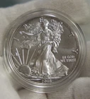 2016 (W) Burnished US Silver Eagle $1 Nice Unc