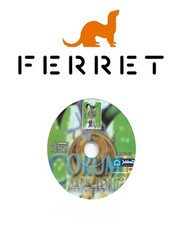 PC Spiel: Corum II (2) Dark Lord Action Rollenspiel Deutsch Hicom Entertainment