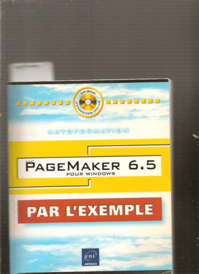 Pagemaker 6.5 for Windows by example without CD ROM