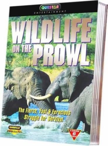 Wildlife on the Prowl (DVD)