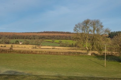 Photo 6x4 Towards Lower Evens Ludlow Looking towards the forested area of c2018