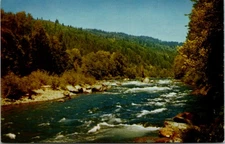 McKenzie River Martin Rapids Oregon Vintage Postcard