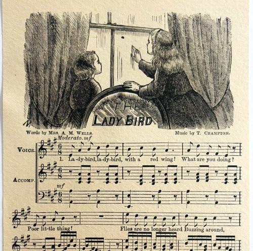 C1880s The Lady Bird Sheet Music Victorian Wood Engraving Wells Champton DWX12A