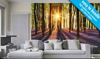 Woodland At Dawn Wallpaper Wall Mural 3.66m X 2.54m Living Room & Bedroom Forest Woodland At Dawn Wallpaper Wall Mural 3.66m X 2.54m Living Room & Bedroom Forest