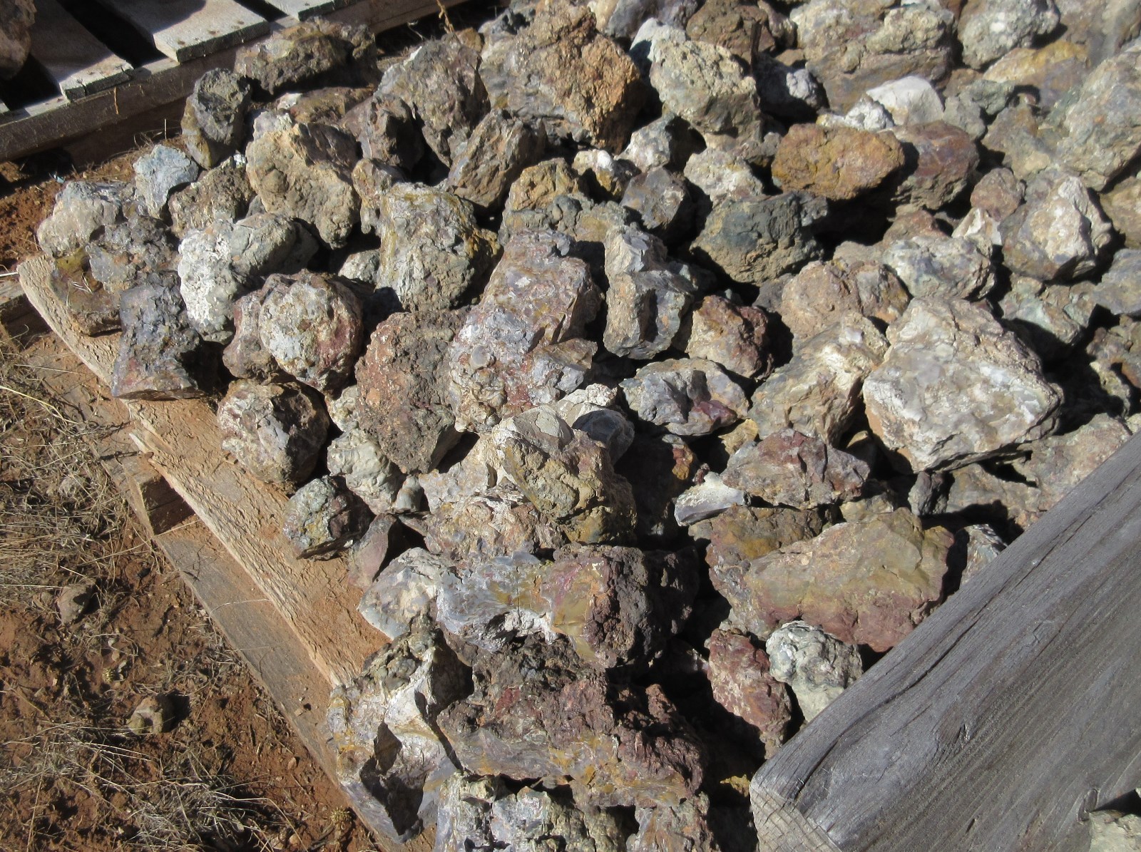 DINOSAUR COPROLITE ROUGH - GEM GRADE - AAA STOCK - 2000 POUND BULK ...